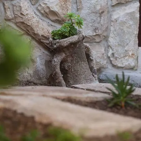 Domina شقة فيس