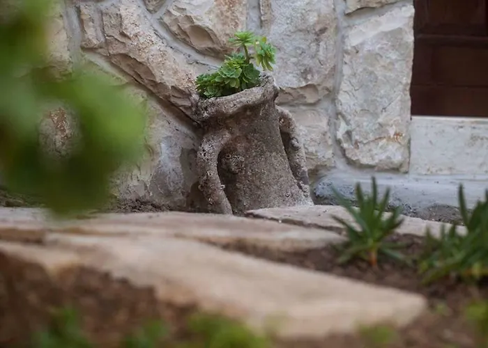 Domina Lejlighed Vis